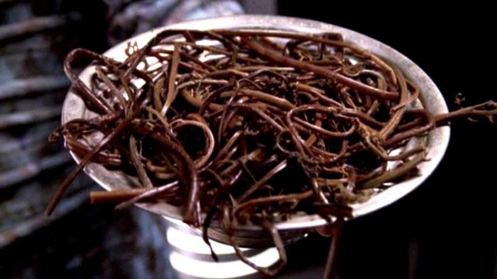 La gastronomia més fantàstica: la cuina a 'Harry Potter', 'Futurama' i 'La guerra de les galàxies | cine, cuina, televisió