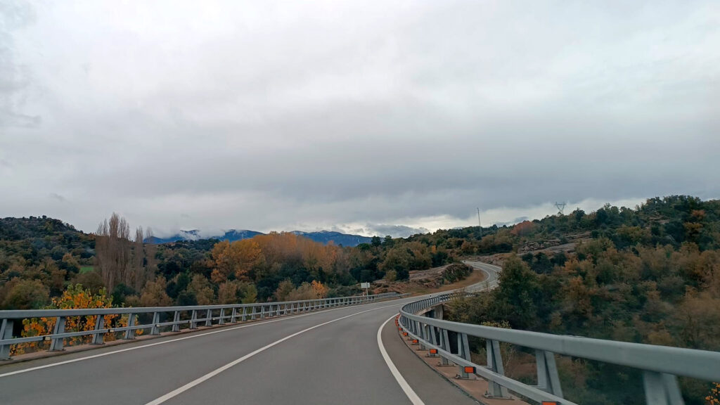 Colors de tardor: calendari setmanal de coloració als boscos de Catalunya | arbres, fred, parcs i jardins, pluja