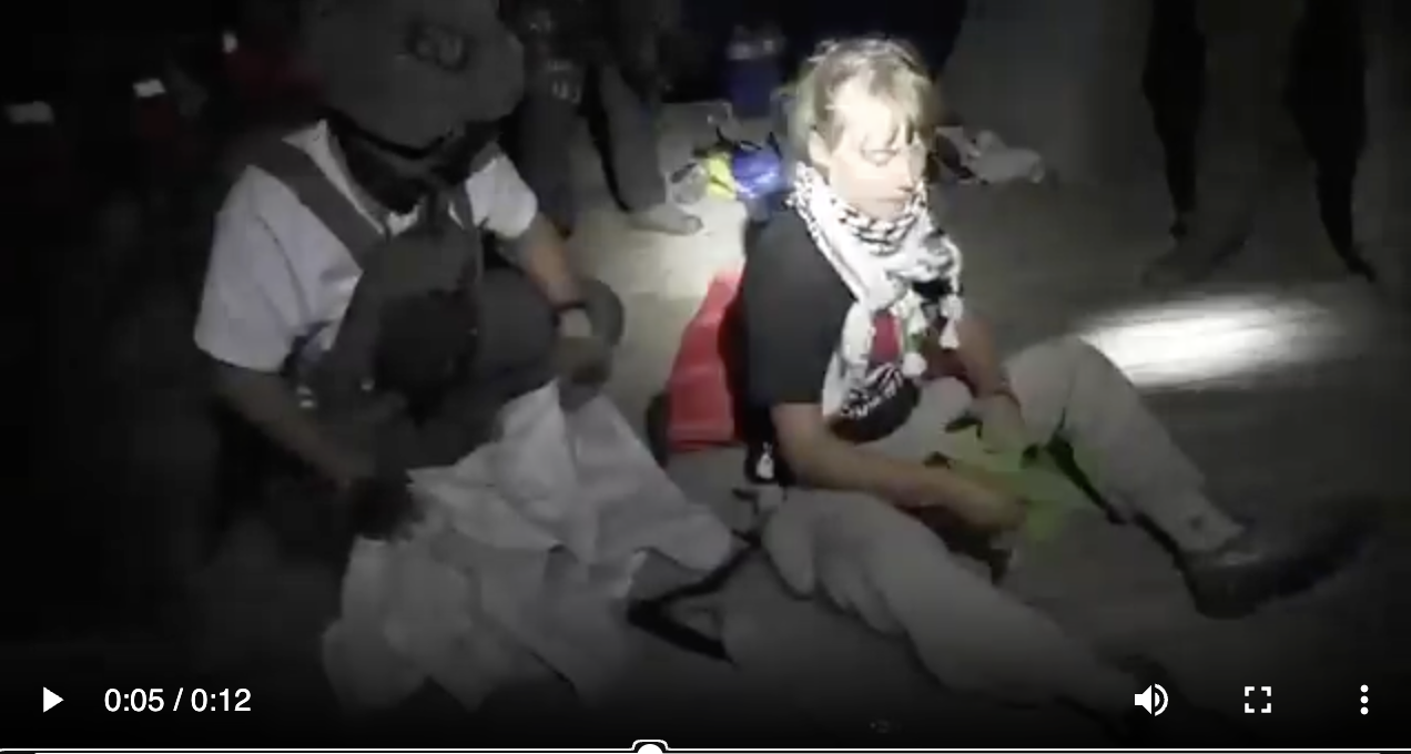 Greta Thunberg detinguda a la flotilla