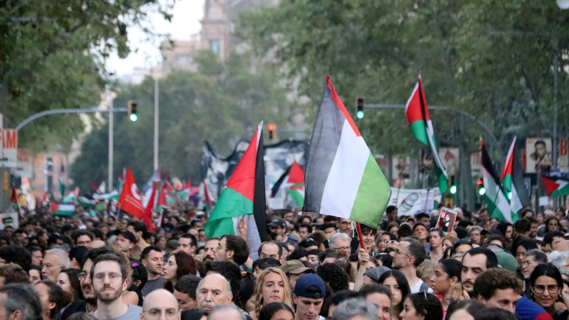 manifestacio palestina