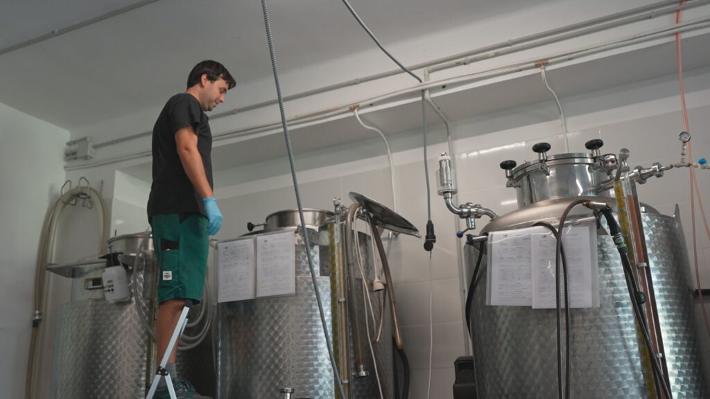 LŌV Ferments: "La kombutxa vol ser una alternativa saludable als ultraprocessats" | begudes alcohòliques, locals