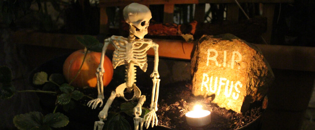 Halloween amb nens: Què fer a casa i activitats a Barcelona per als més petits | agenda del cap de setmana, castanyes