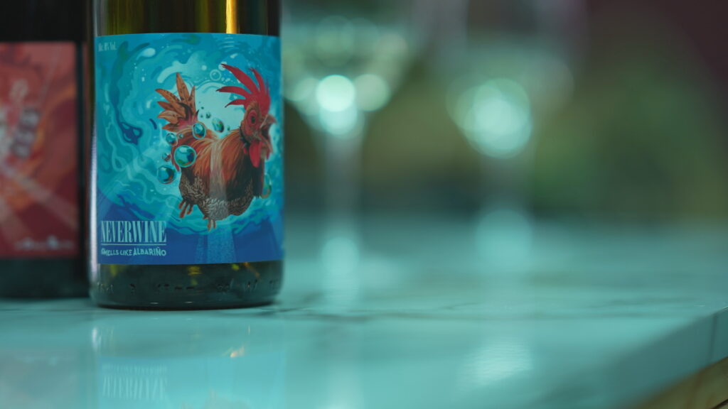 David Seijas: "El vi sense alcohol és una oportunitat per mantenir les vinyes" | begudes alcohòliques, vins