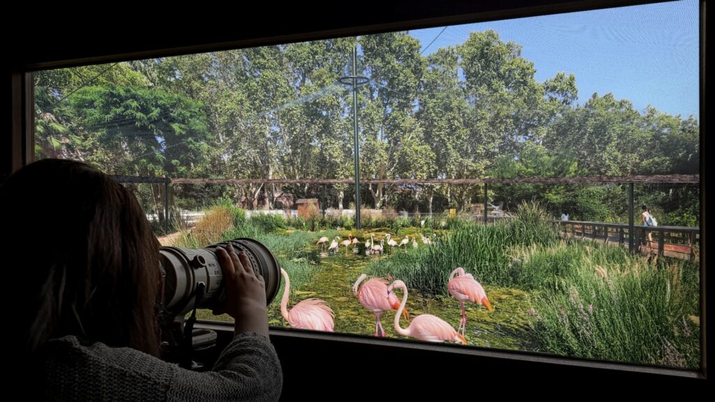 Bioscope, la nova instal·lació del Zoo sobre l'evolució de les espècies prevista per al 2030 | Jaume Collboni, Parc de la Ciutadella, Zoo de Barcelona