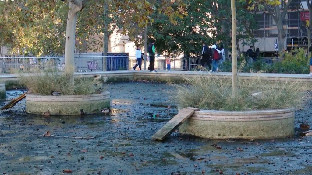 El buidatge del llac dels Jardins del Baix Guinardó agafa per sorpresa els ànecs | Ajuntament de Barcelona, animals, fauna, parcs, parcs i jardins