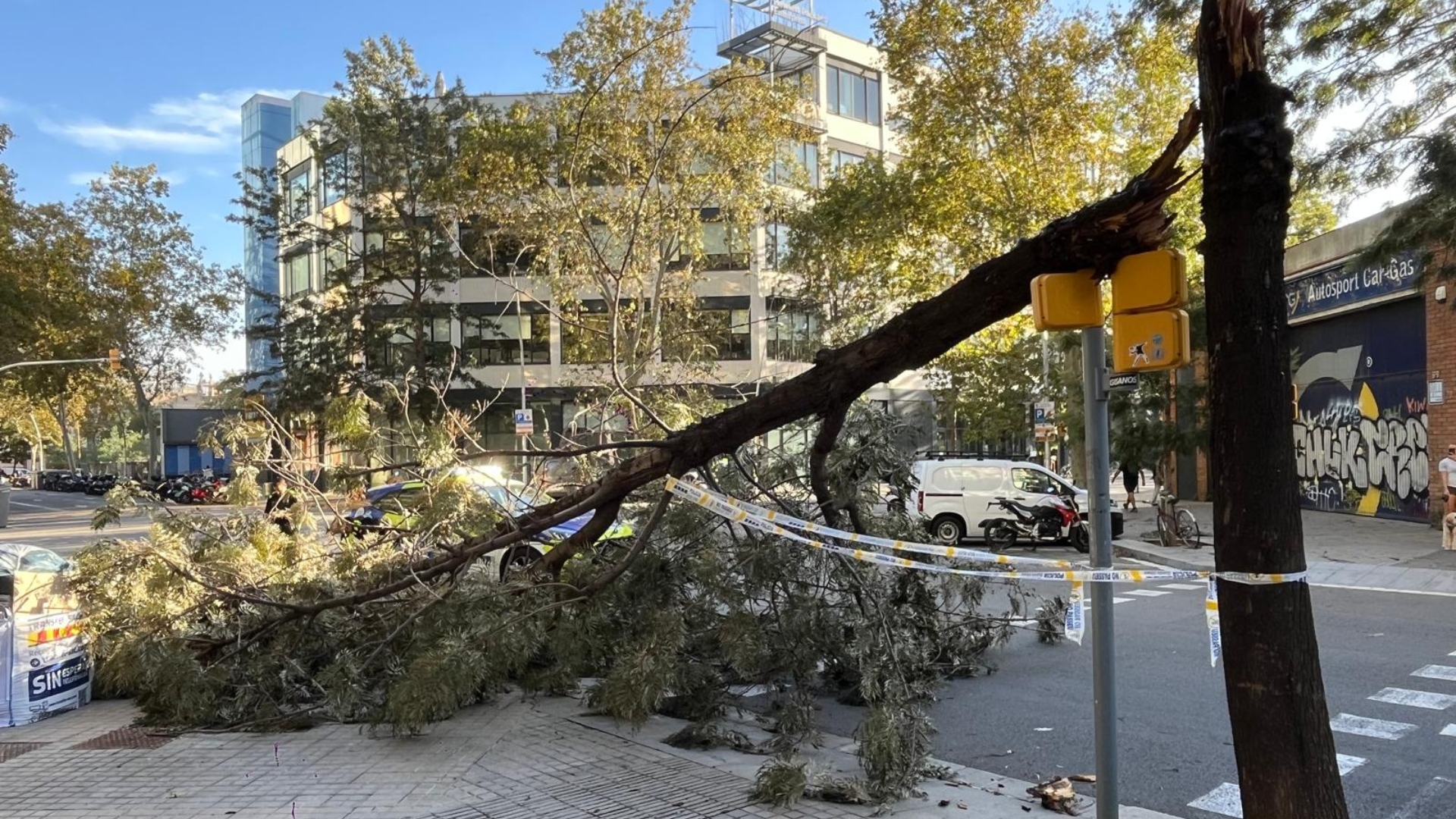 En alerta el pla Ventcat davant d'un episodi de vent fort a Barcelona associat a la borrasca Nils | meteorologia