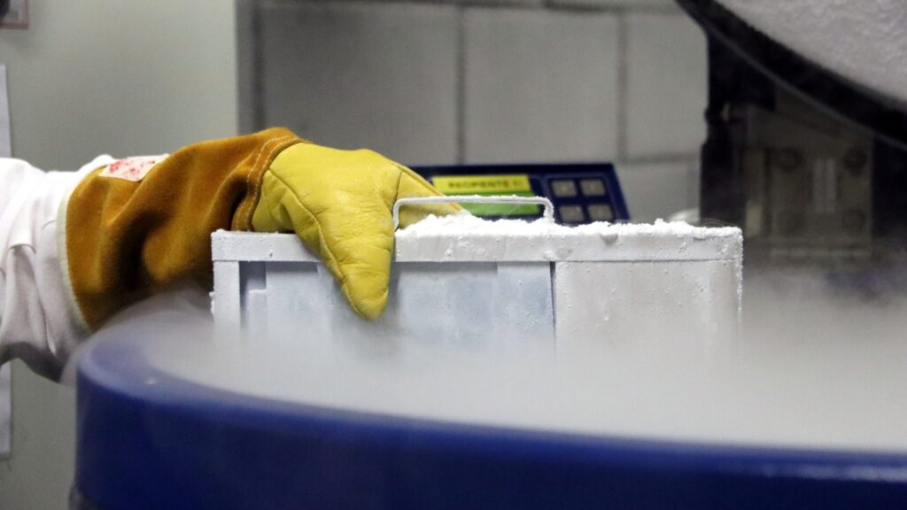 El Banc de Cordó umbilical fa 30 anys amb el repte de remuntar donacions | Banc de Sang i Teixits, donacions de sang, dones, embarassades, hospitals