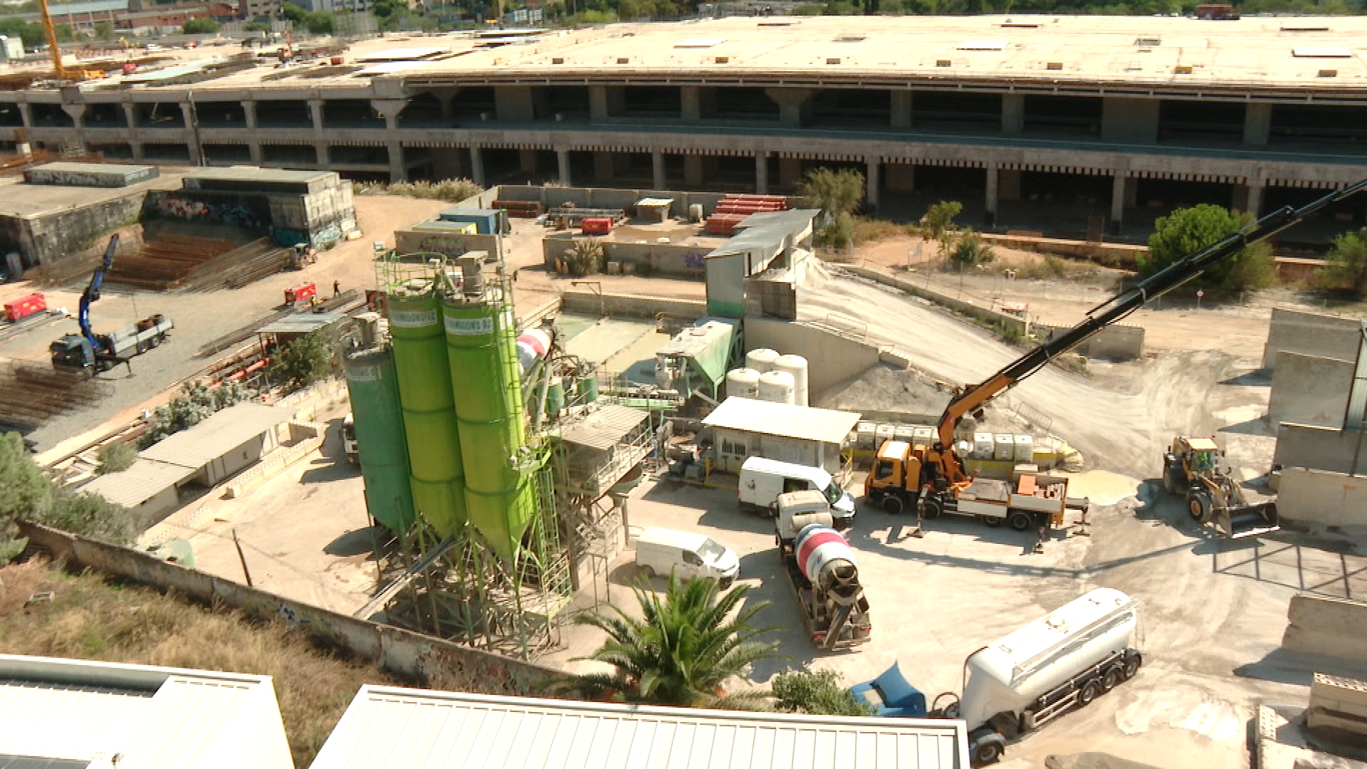 formigonera sagrera vista ocell