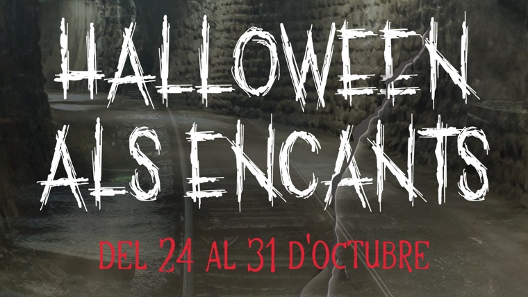 Castanyada i Halloween 2025: Què fer a Barcelona? Activitats més destacades | castanyes, cultura popular, Tots Sants