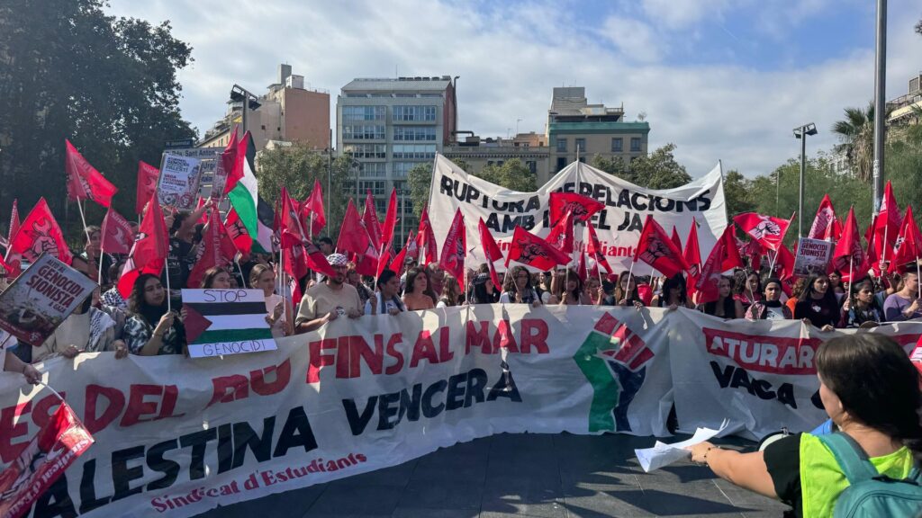 manifestacio estudiants palestina