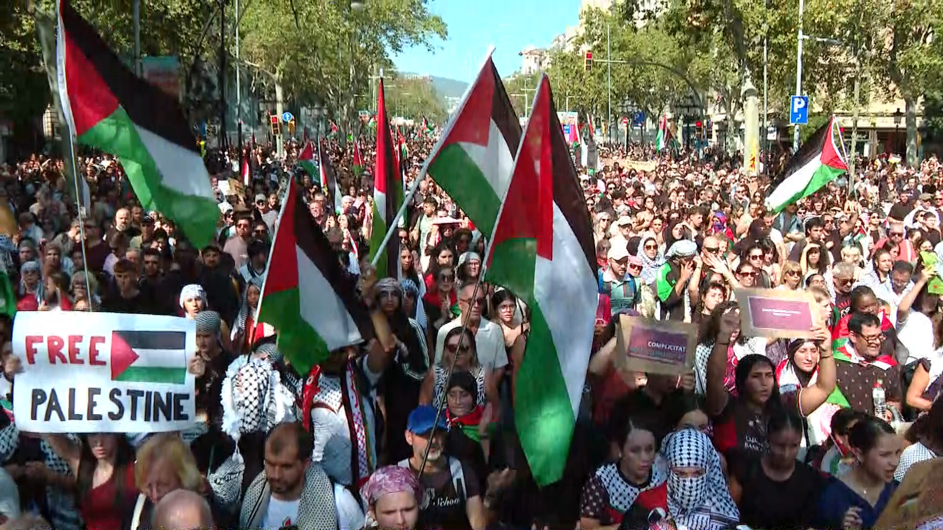 manifestacio palestina barcelona