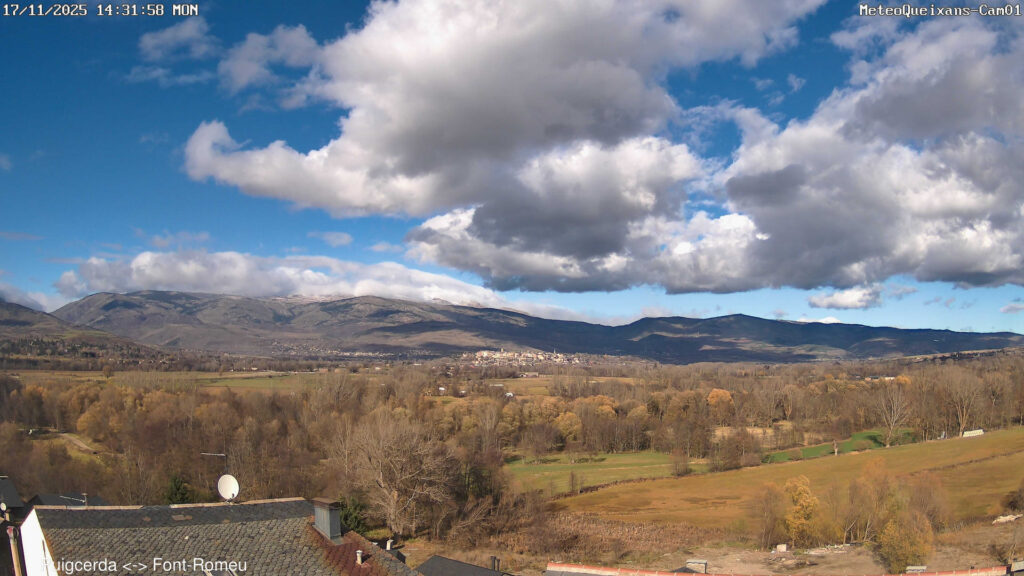 Colors de tardor: calendari setmanal de coloració als boscos de Catalunya | arbres, fred, parcs i jardins, pluja