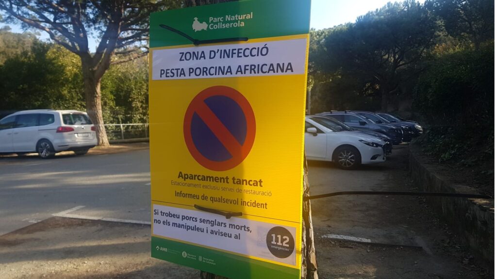 Collserola cerrado por la peste porcina y jabalíes