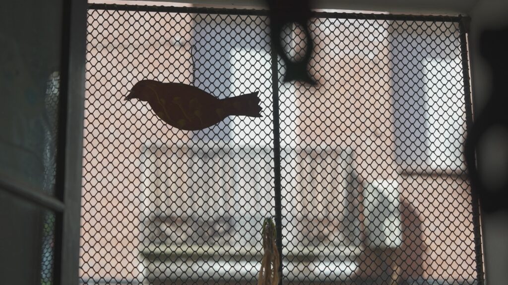 'On són les noies?': "No és cosa d'un dia, és un estil de vida, de crits, de control, d'aïllar-me" | comunitat musulmana, educació secundària, immigració, masclisme