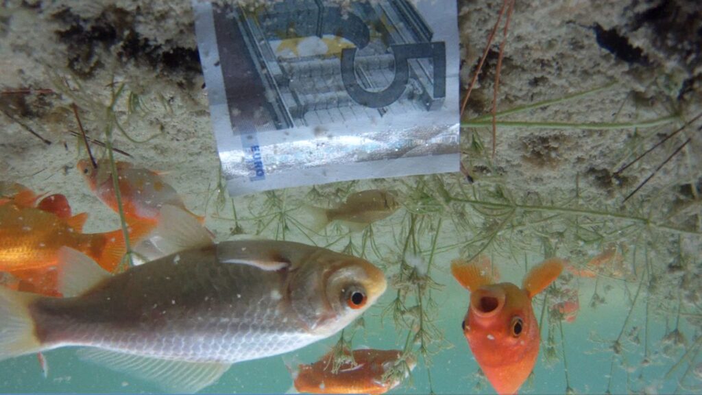 L'escultor Toni Giró revisa 30 anys de trajectòria als Espais Volart | art contemporani, escultura, exposicions