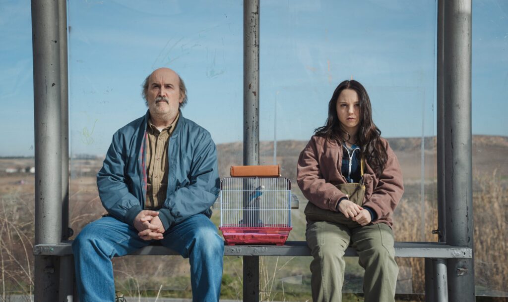 'Anatomía de un instante' i 'A better man', guanyadores del Serializados Fest 2025 | audiovisual, plataformes digitals, premis, televisió