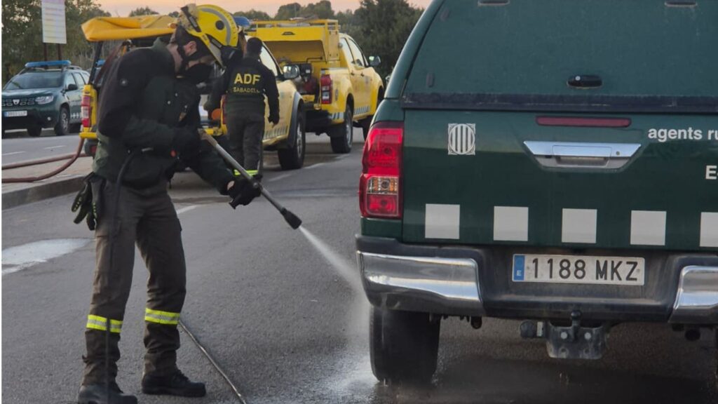 Crisi per la pesta porcina: Collserola continuarà blindada i es mobilitza l'Exèrcit | animals, Collserola, Parc Natural de Collserola, Pesta porcina, salut pública