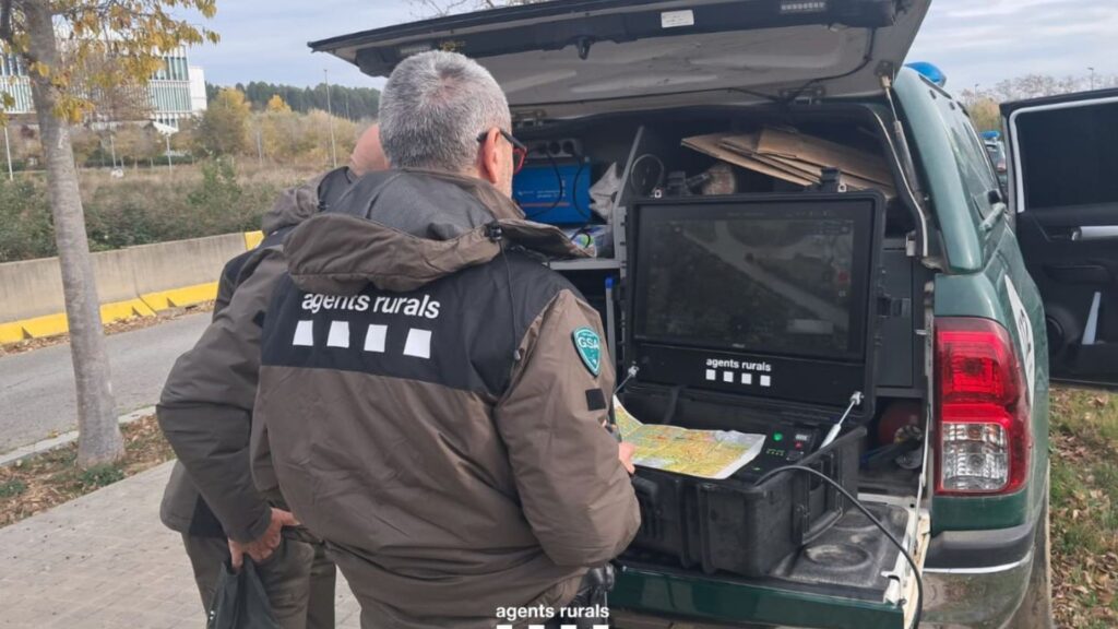 Crisi per la pesta porcina: Collserola continuarà blindada i es mobilitza l'Exèrcit | animals, Collserola, Parc Natural de Collserola, Pesta porcina, salut pública