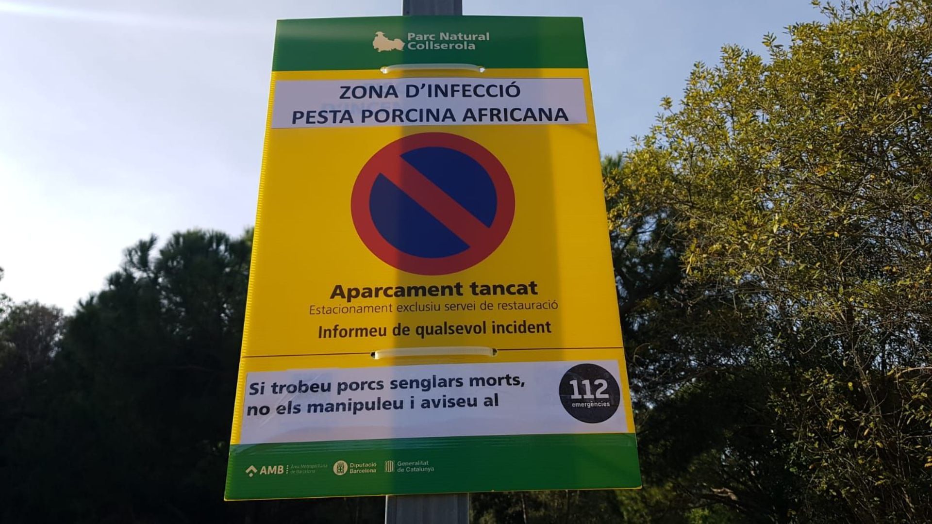 crisi sanitària pesta porcina