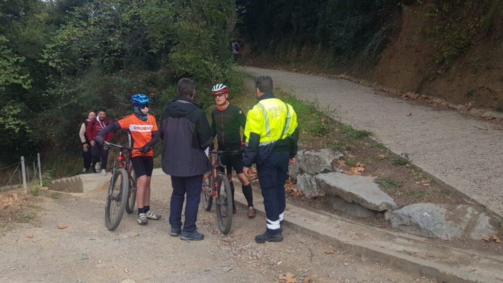 Crisi per la pesta porcina: Collserola continuarà blindada i es mobilitza l'Exèrcit | animals, Collserola, Parc Natural de Collserola, Pesta porcina, salut pública