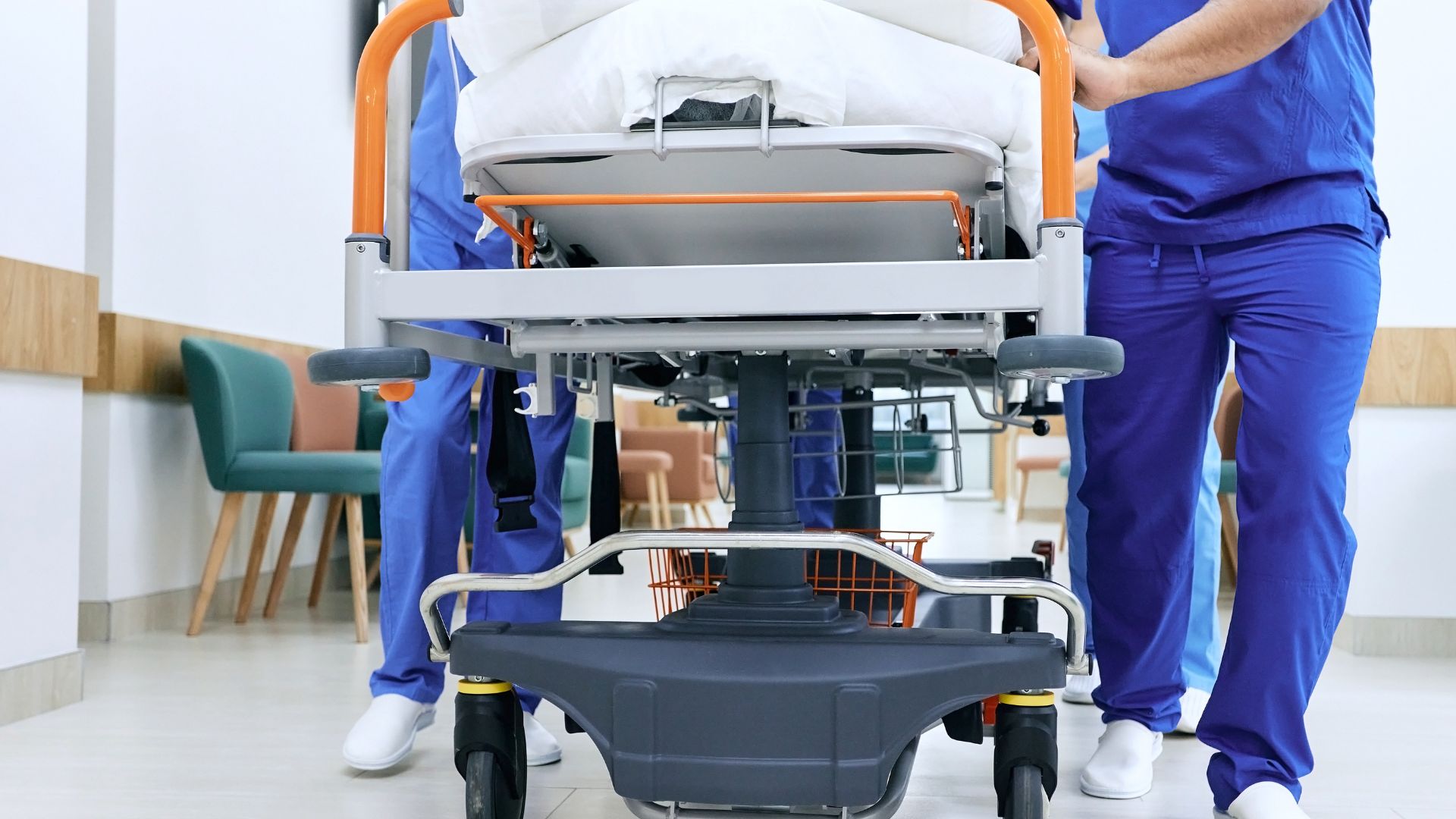 detingut robatori targeta