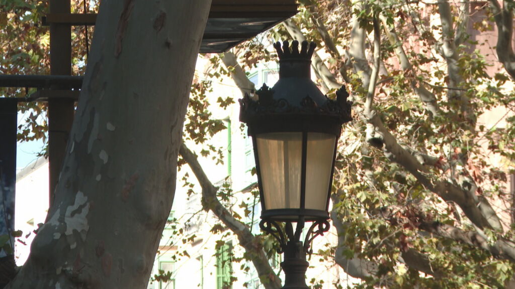 Els fanals de cinc braços de la Rambla es mantindran quan acabi la remodelació de la via | Ajuntament de Barcelona, Barris, la Rambla, obres