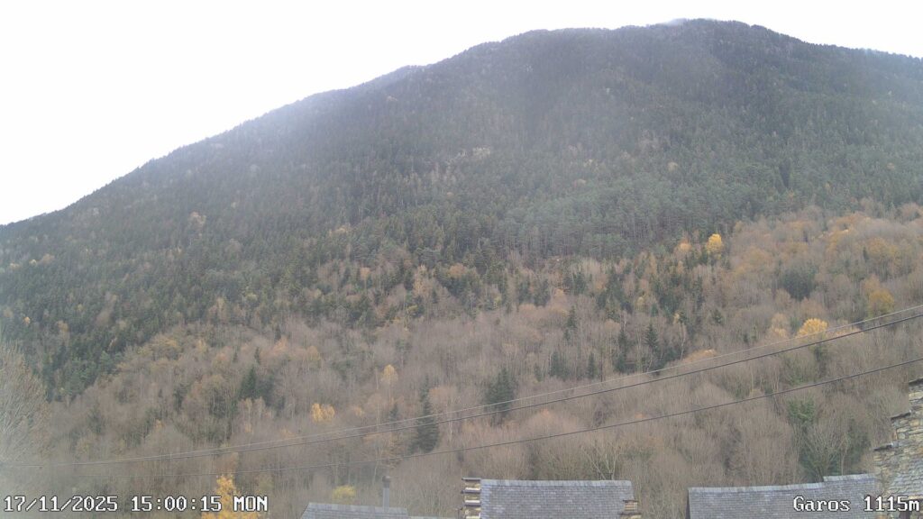 Colors de tardor: calendari setmanal de coloració als boscos de Catalunya | arbres, fred, parcs i jardins, pluja