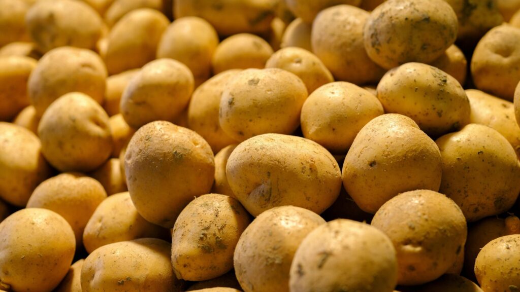 patata mercabarna