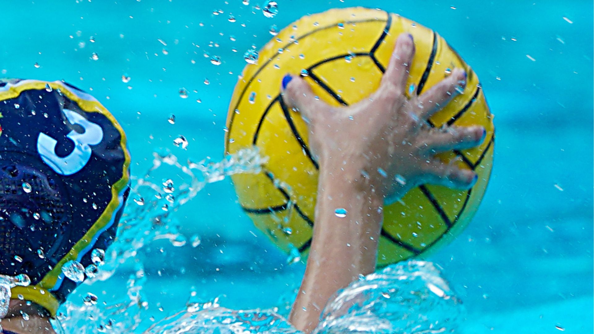 Calendari CN Catalunya i CN Atlètic-Barceloneta