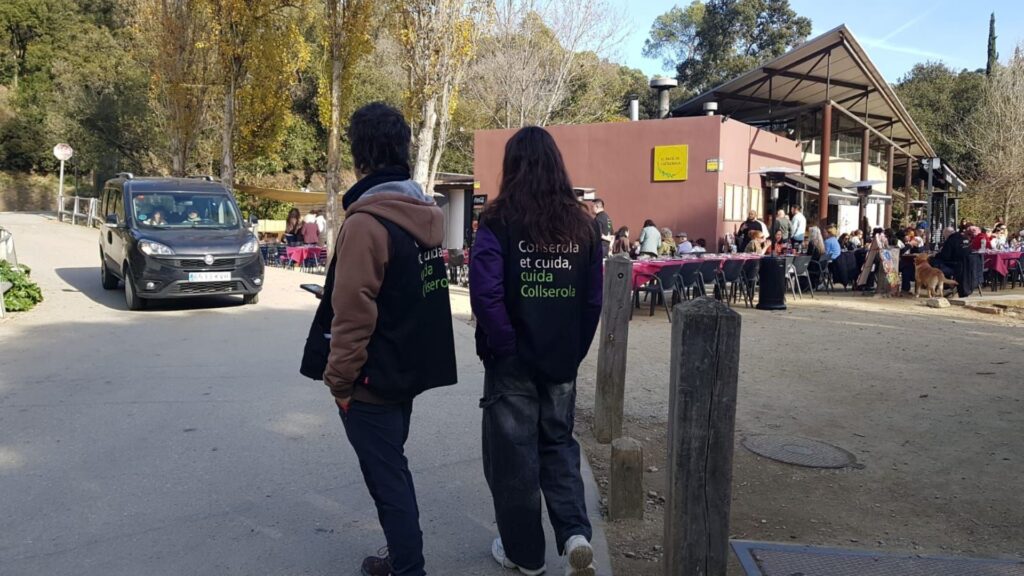 Collserola tancat per la pesta porcina i senglars