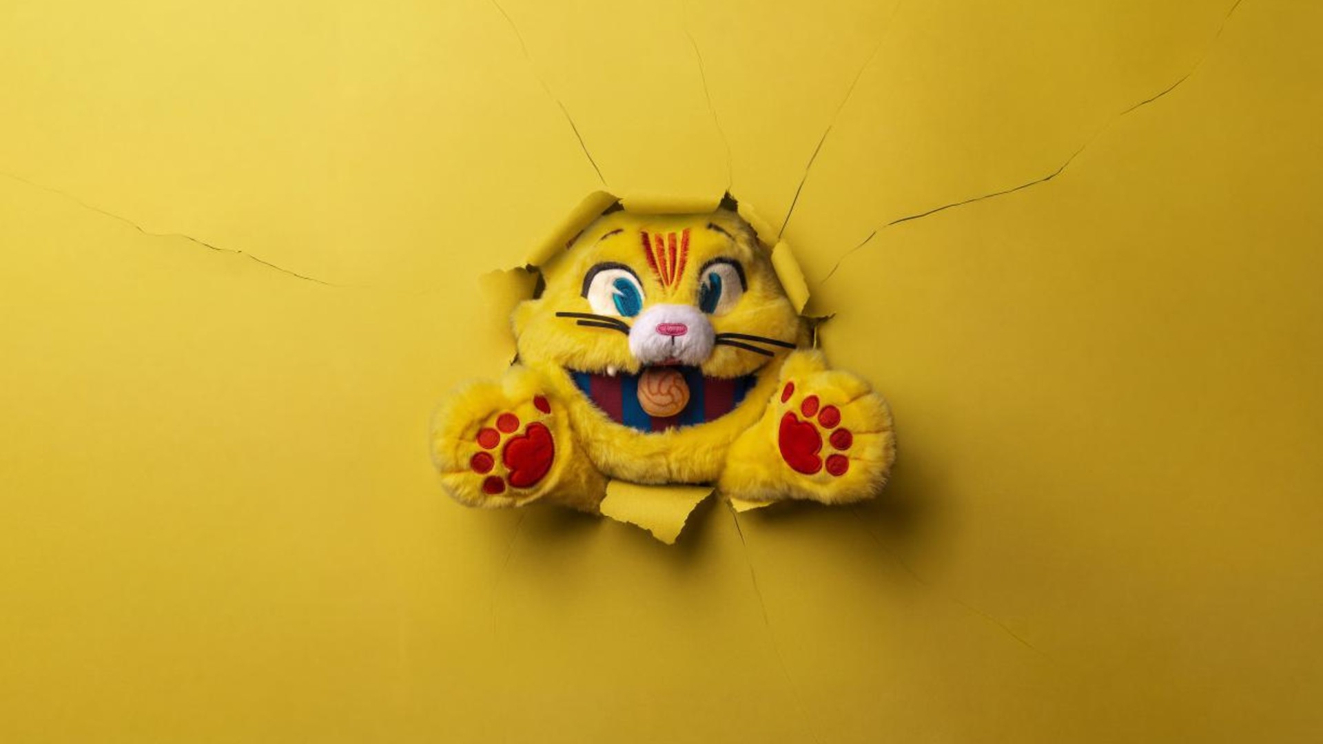 Venda peluix del CAT