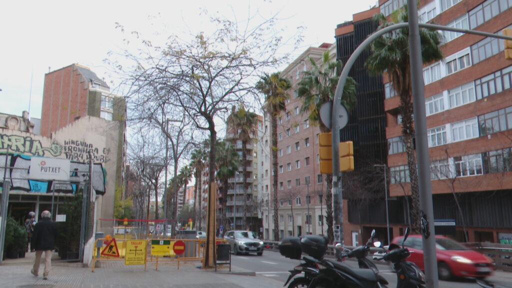 Centre de jardineria Putxet: "Si la gent té un solar prefereix fer una casa que posar-hi plantes" | botiga, botigues, jardineria