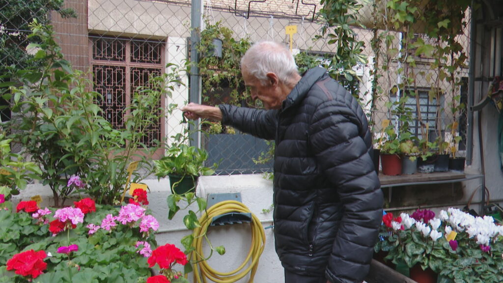 Centre de jardineria Putxet: "Si la gent té un solar prefereix fer una casa que posar-hi plantes" | botiga, botigues, jardineria