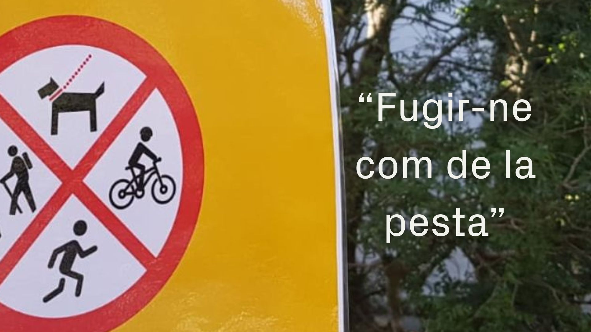 Com "pestes" t'ho faràs? Frases fetes i refranys del mot del qual fugim aquests dies | català, llengua, Mots endiumenjats, Pesta porcina