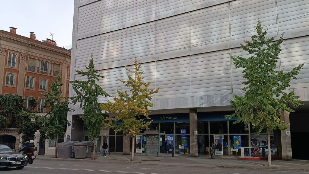 Barcelona fa olor de tardor: arbres plens de fulles de colors abans de la Puríssima 2025 | arbres, fred, meteorologia