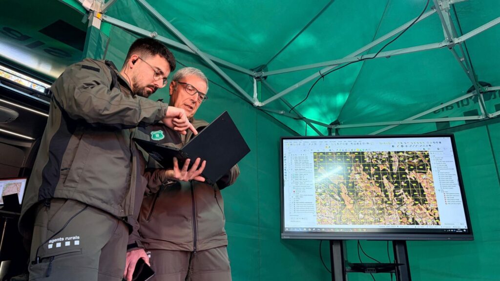 Brot de pesta porcina: El comitè auditor format per sis científics es reuneix aquest dimarts | Collserola, Parc Natural de Collserola, Pesta porcina, salut pública
