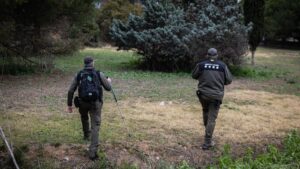 Brot de pesta porcina: 90 senglars analitzats i 13 positius confirmats | DIRECTE