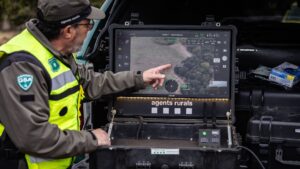 Brot de pesta porcina: troben dos senglars morts més i estudien un tercer perímetre de seguretat