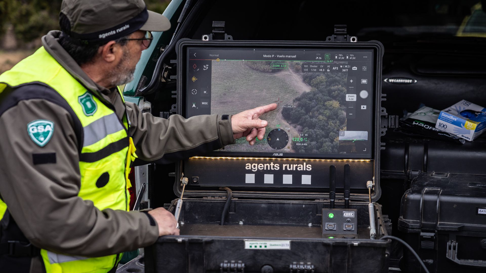 pesta porcina Collserola batuda