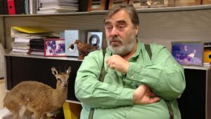 Caçadors barcelonins alerten que, a Collserola, la seva feina és “de tot menys idíl·lica”