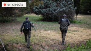 Brot de pesta porcina: s’estén la prohibició d’accés al medi natural a 91 municipis | DIRECTE