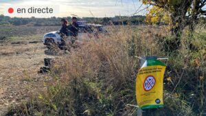 Brot de pesta porcina: el govern ordena auditar els centres que treballen amb el virus a la zona