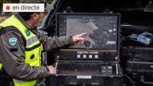 Brot de pesta porcina: el ministeri investiga si el virus ha sortit d’un laboratori | DIRECTE