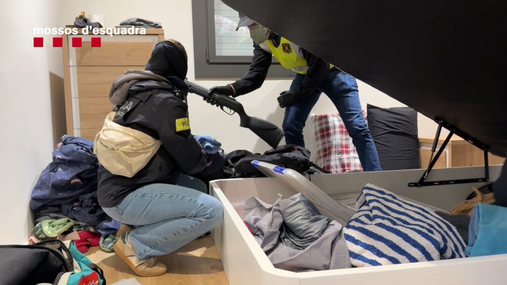 Set detinguts en una operació contra el tràfic de drogues a Barcelona i l'àrea metropolitana | droga, marihuana, Mossos d'Esquadra