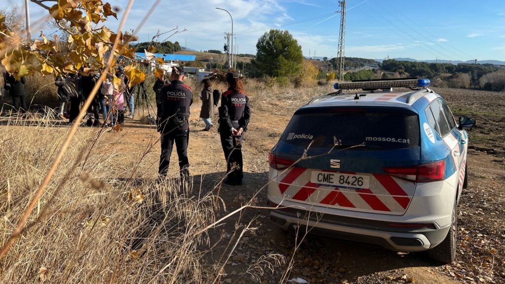 Brot de pesta porcina: El comitè auditor format per sis científics es reuneix aquest dimarts | Collserola, Parc Natural de Collserola, Pesta porcina, salut pública