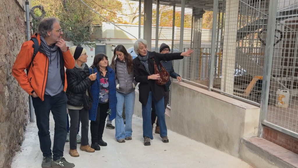 La reconstrucció del passatge Antic de València no agrada: "Sembla de cartró pedra" | Barris, obres, patrimoni, queixes veïnals