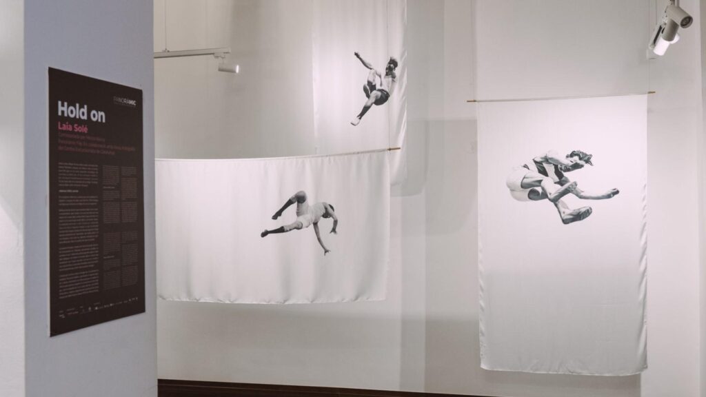 Panoramic File 2025 Laia Sol&eacute;