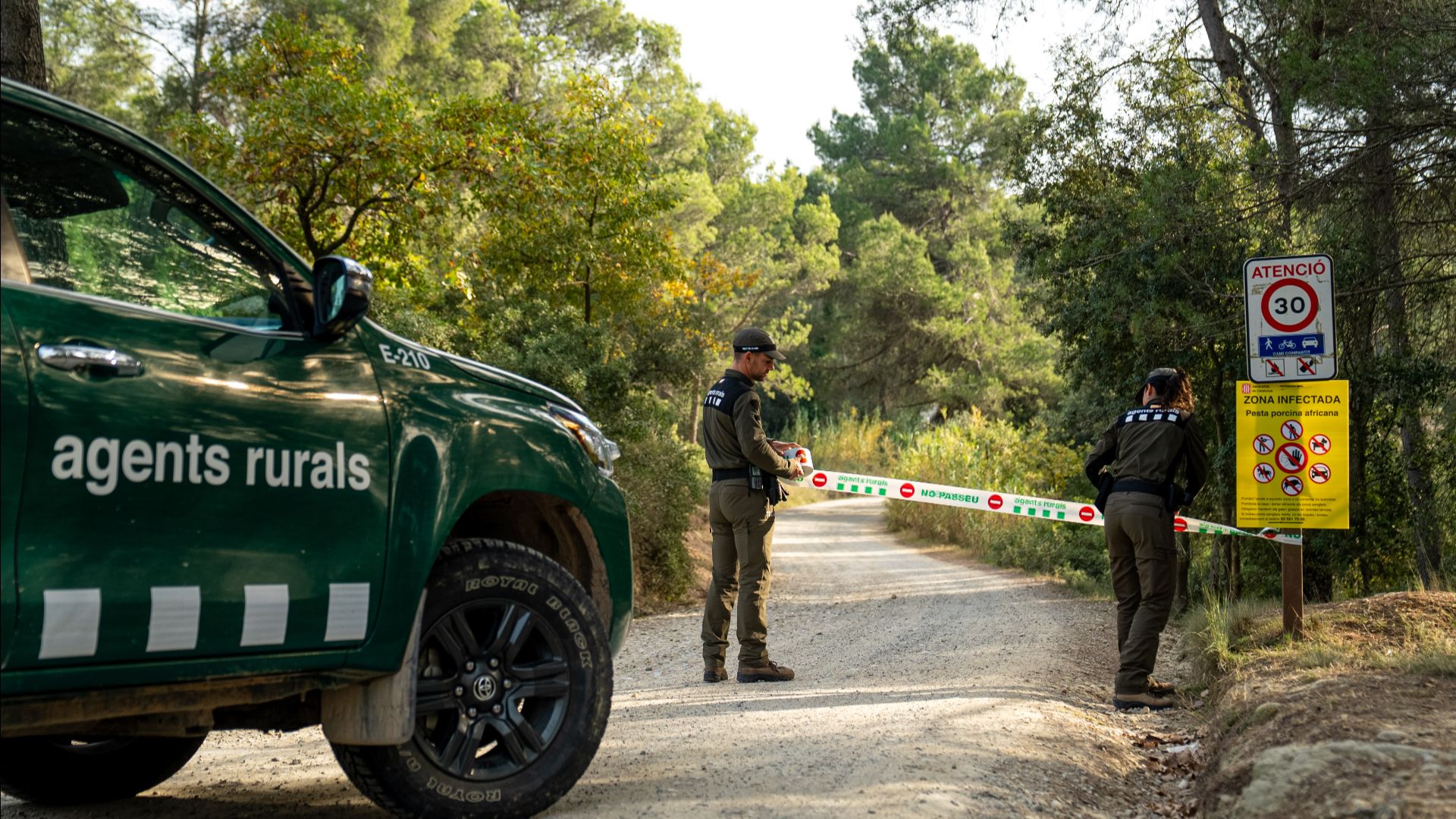pesta porcina Collserola agents rurals