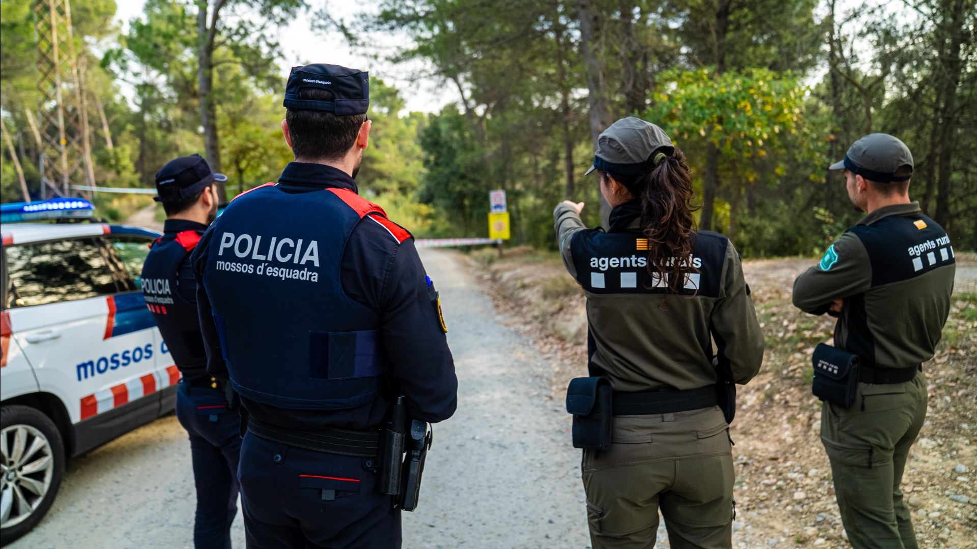 batuda pesta porcina Collserola