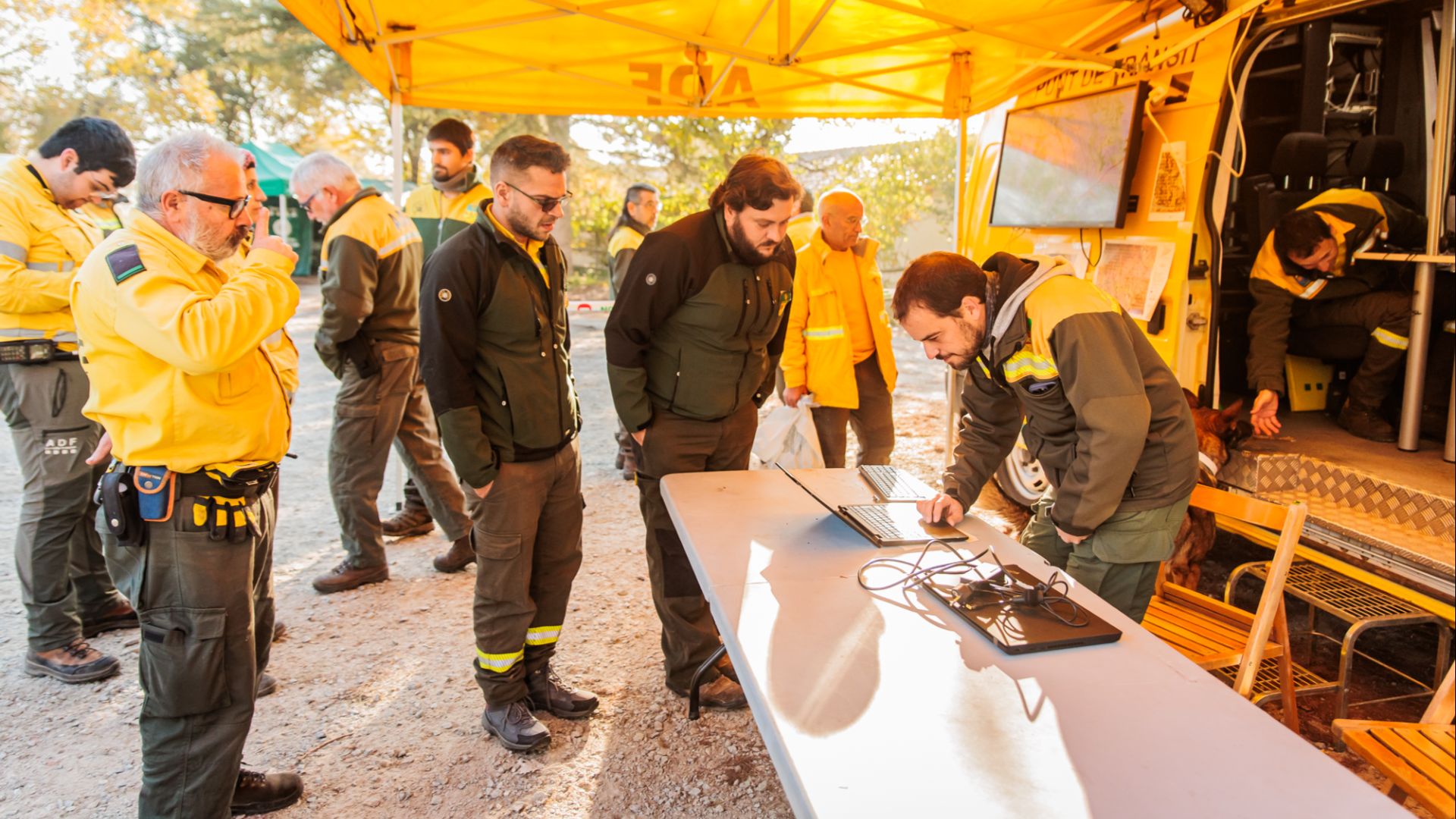 batuda pesta porcina Collserola